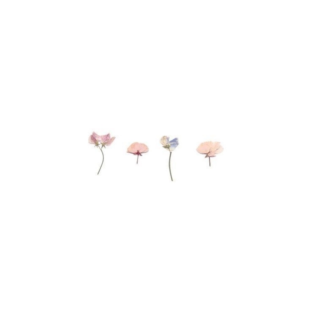 𝘩𝘦𝘺 - Picture 4 of 5